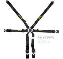 Load image into Gallery viewer, SCHROTH RACING SR94530-0-31 Schroth Racing SR94530-0-31 Flexi 2x2 6-Point FIA Approved Harness