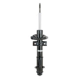 STRANGE S6009LM 05-14 Mustang Front Strut