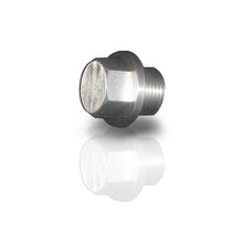 Load image into Gallery viewer, STAINLESS WORKS O2P Plug for O2 bung 3/4in