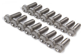 Ti22 PERFORMANCE 1010 Bead Lock Bolt Kit 16pcs Titanium 1in Long