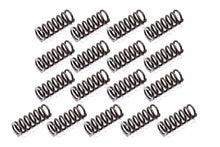Load image into Gallery viewer, TSR RACING PRODUCTS APG-2832HD P/G HD Reverse Springs