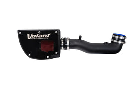 VOLANT 17636D Performance Dry Filter