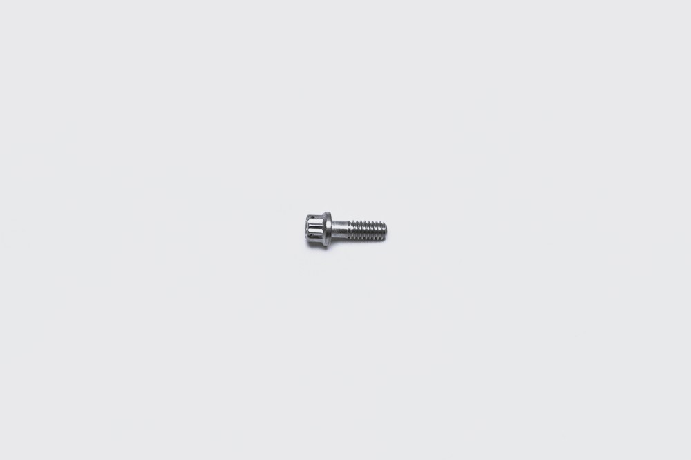 WILWOOD 230-8037 Wilwood 230-8037 Stainless Steel 12-Point Head Bolt, 1/4-20 x 0.75 in