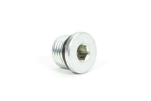 Load image into Gallery viewer, WINTERS 67874S Port Plug  #6 AN