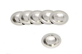 WILSON MANIFOLDS 332006 Replacement Burst Panels (6-Pack)