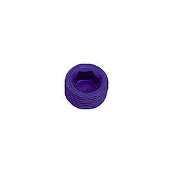 XRP-XTREME RACING PROD. 993202 1/8in Allen Head Pipe Plug (2pk)