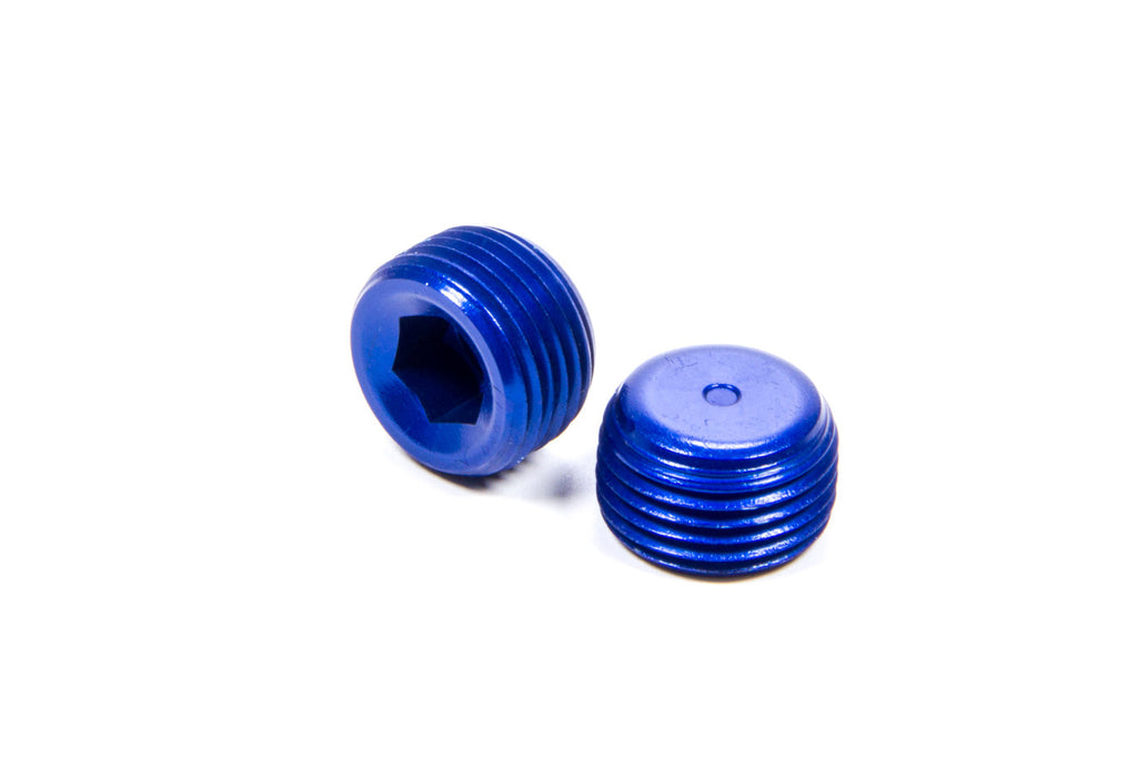 XRP-XTREME RACING PROD. 993204 3/8in Male Pipe Plug (2pk)